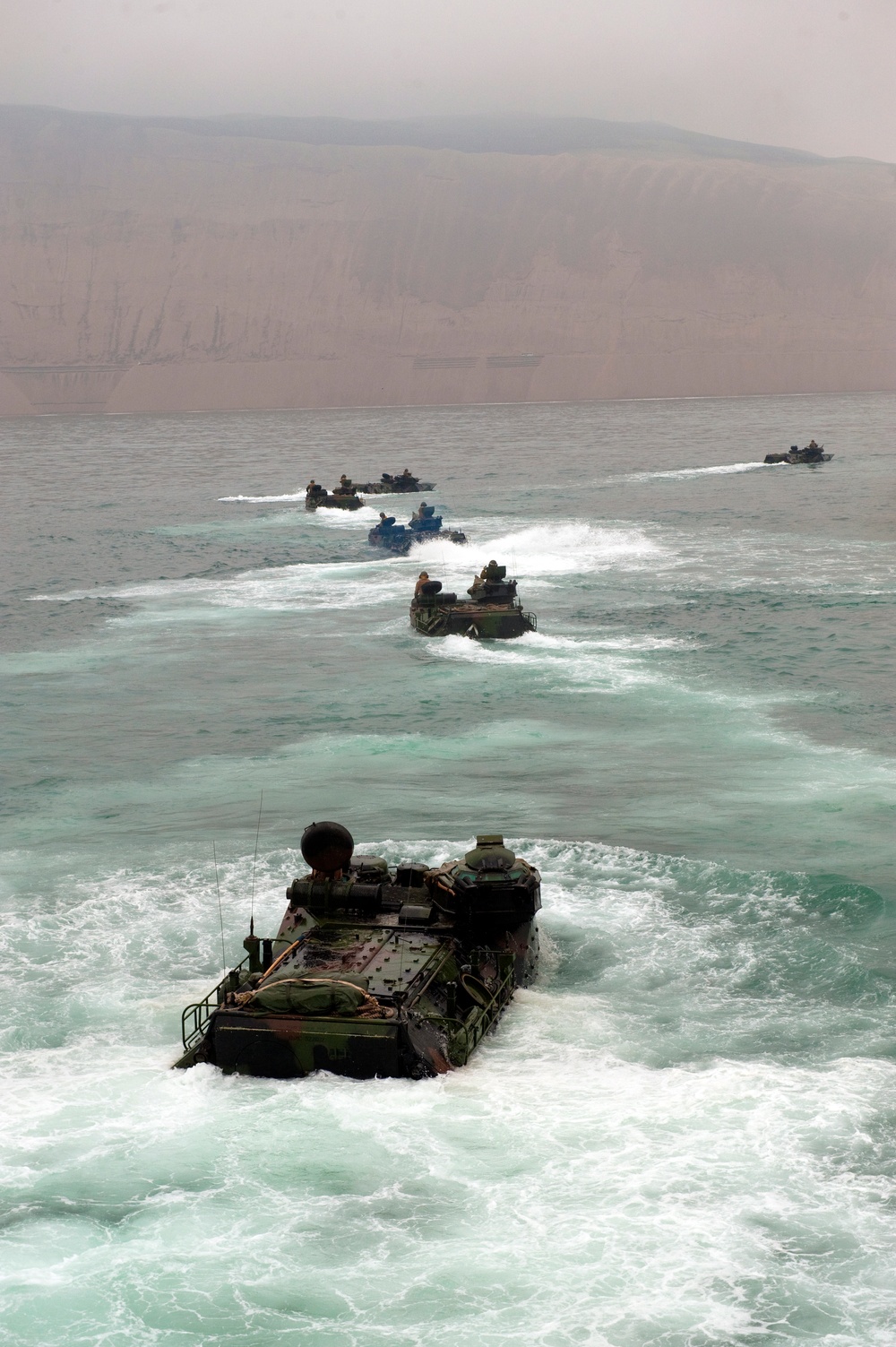 Amphibious-Southern Partnership Station 2010