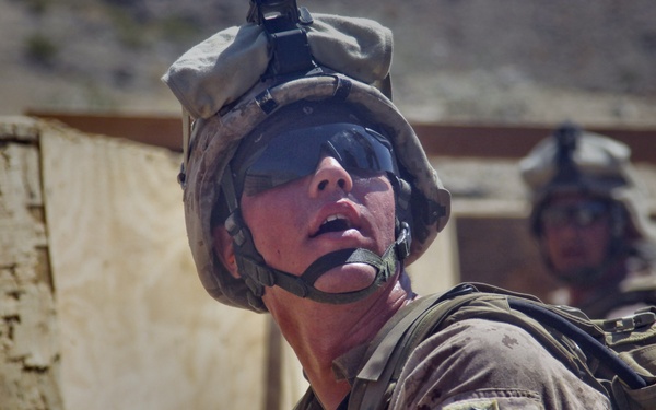 Enhanced Mojave Viper