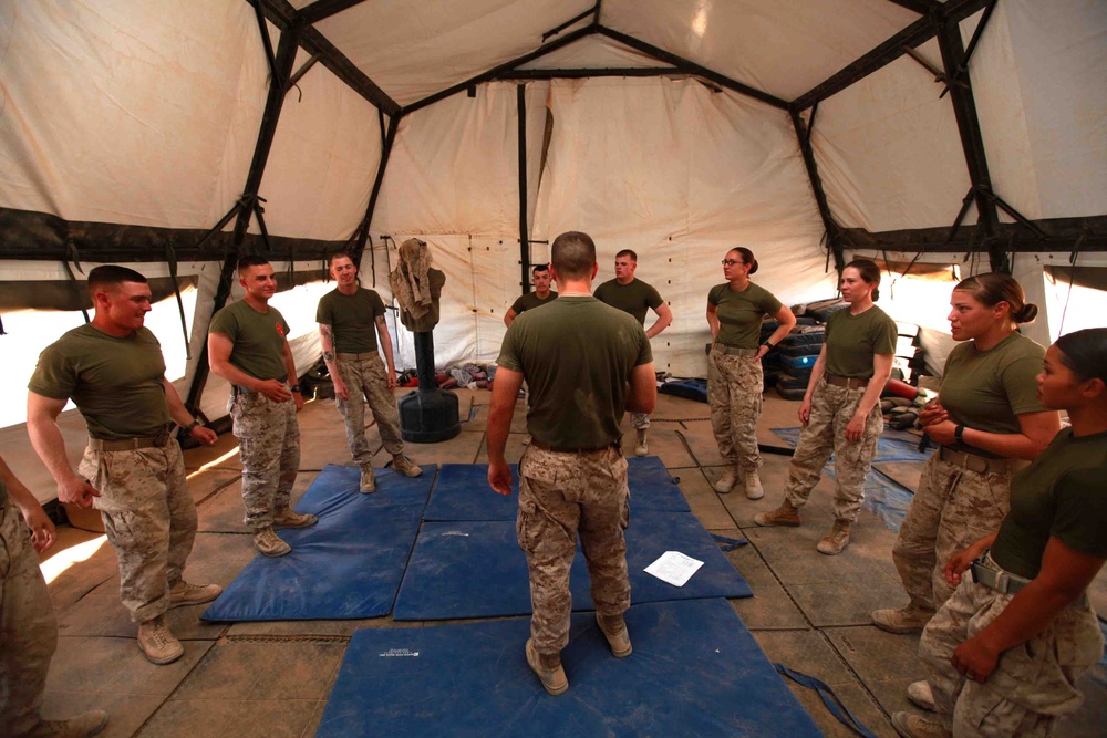 Marine Corps Martial Arts Reinforces Warrior Mindset