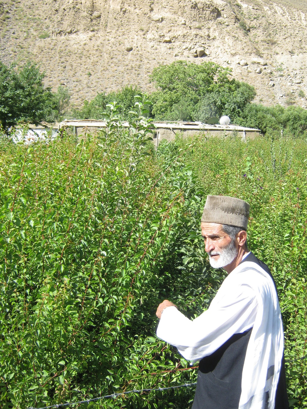 PRT, Roots of Peace Sowing Seeds for Afghanistan