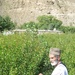 PRT, Roots of Peace Sowing Seeds for Afghanistan