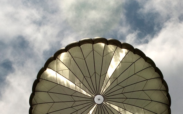 Full Canopy Overhead