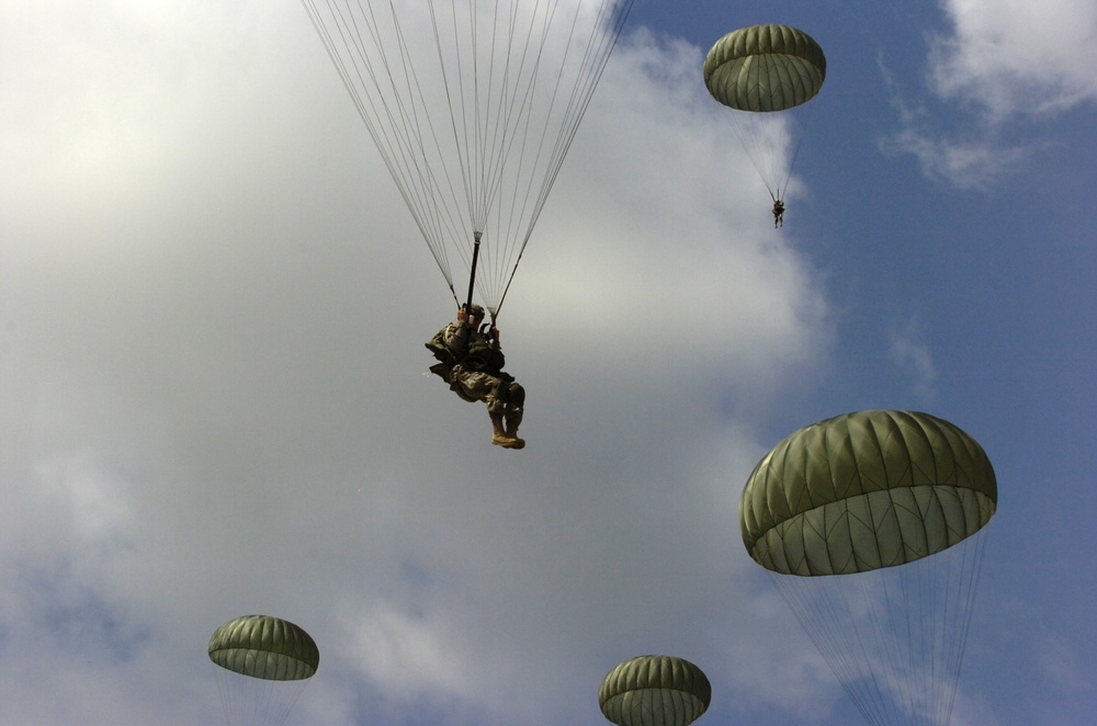 Full Canopy Overhead