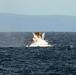 USS Freedom conducts training