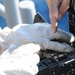 USS Wasp sailors qualify on M240B