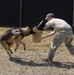 Military Working Dogs take bite out of Camp Bondsteel