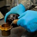 Fuels Laboratory Technician