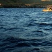 U.S. Coast Guard Patrols Guantanamo Bay