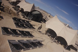 Solar-powered Devil Dogs