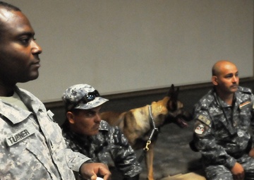 Every dog has its day, including military working dogs