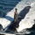 USS Missouri