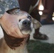Operation Continuing Promise 2010