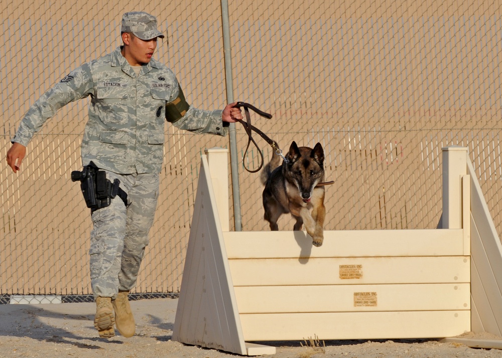 Travis Security Forces MWD Handler Keeps Deployed Base Secure in Southwest Asia