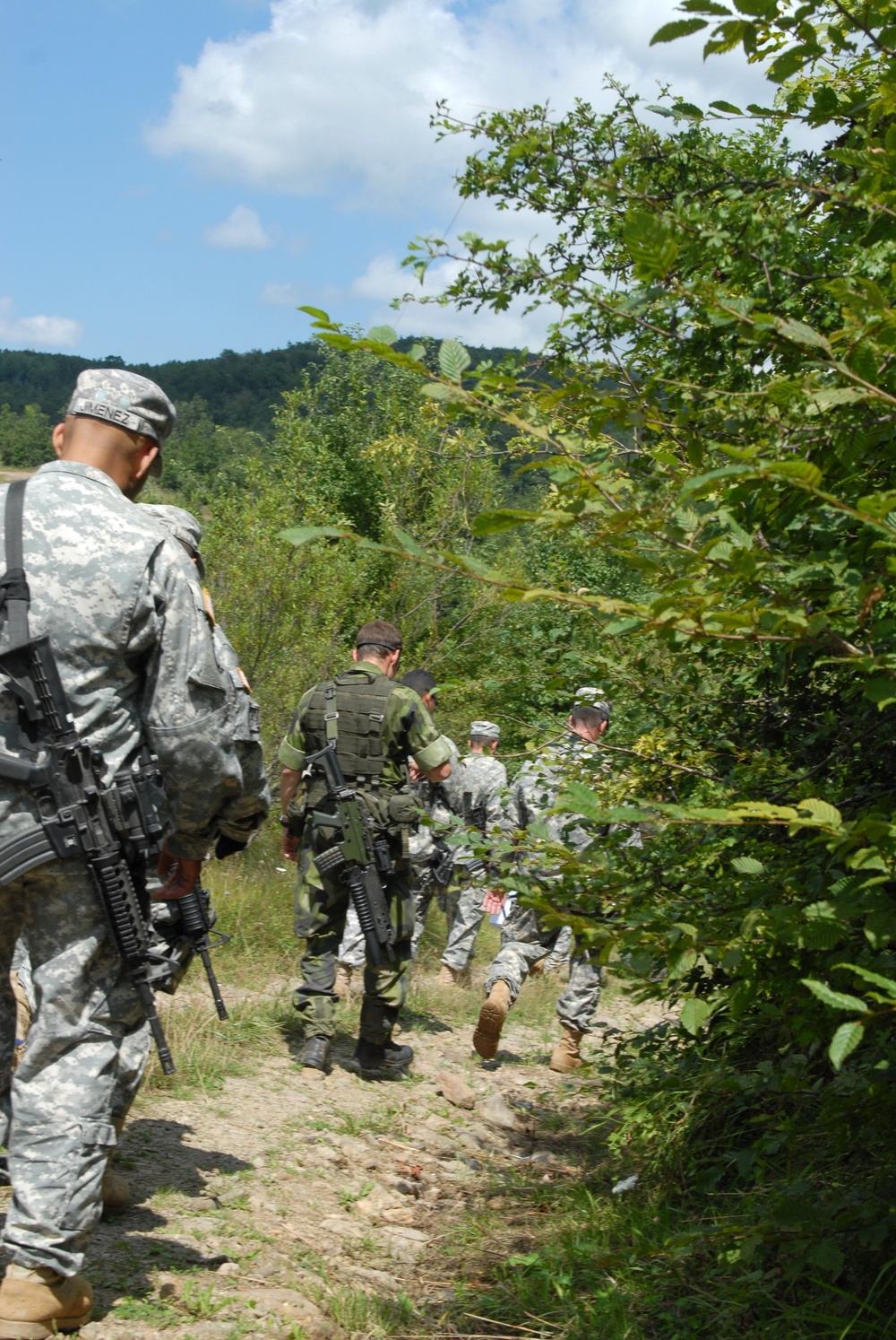 U.S. and Swedish Soldiers share patrols on ABL