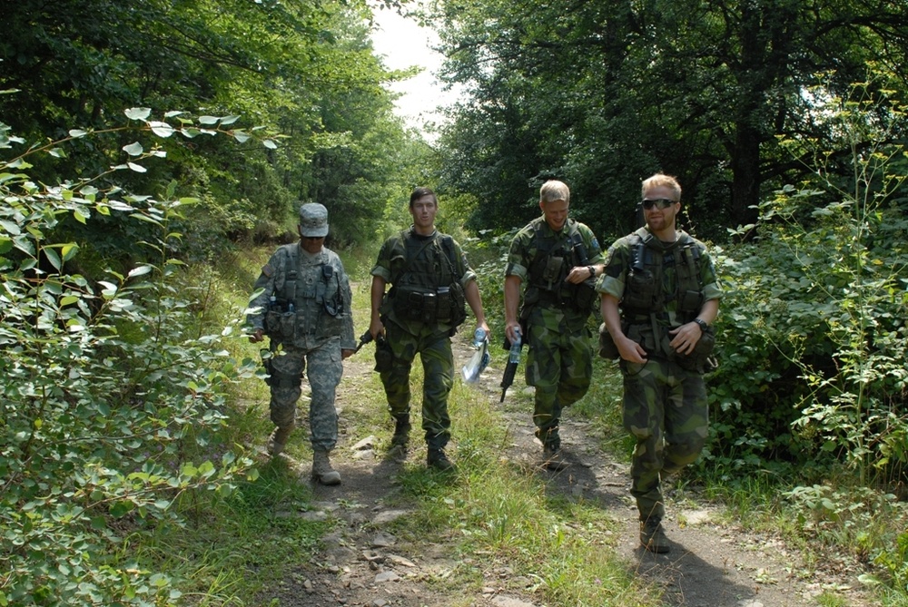 U.S. and Swedish Soldiers share patrols on ABL