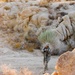 National Guard unit land navigation at NTC