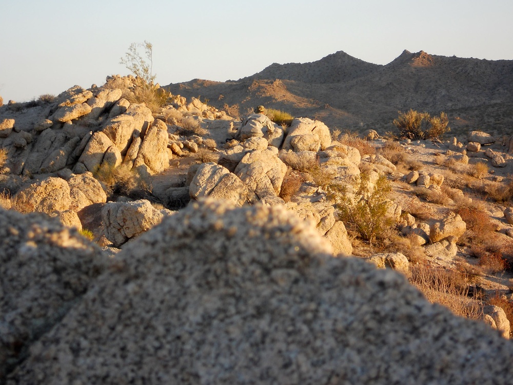 National Guard unit land navigation at NTC