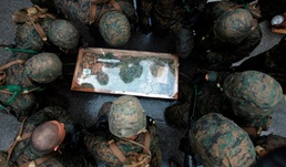 Endurance Course Teaches 9th ESB Jungle Warfare