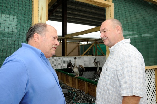 Bird Rehabilitation