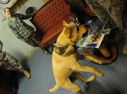 Staff Sgt. Timmy Combats Stress With Smiles