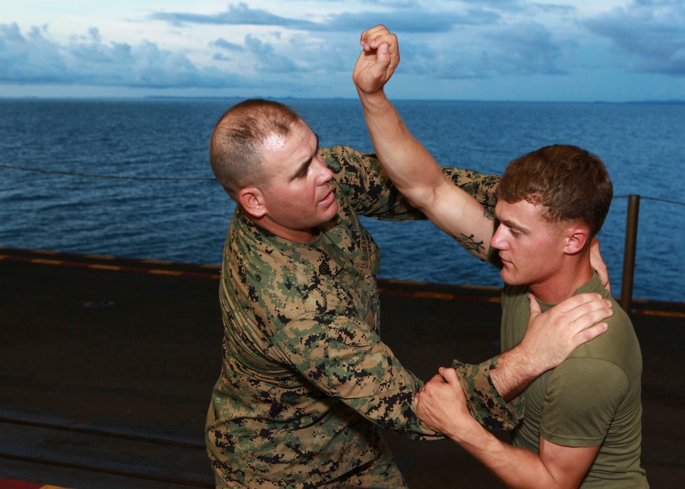 Operation Continuing Promise 2010