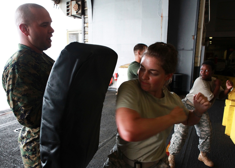 Operation Continuing Promise 2010