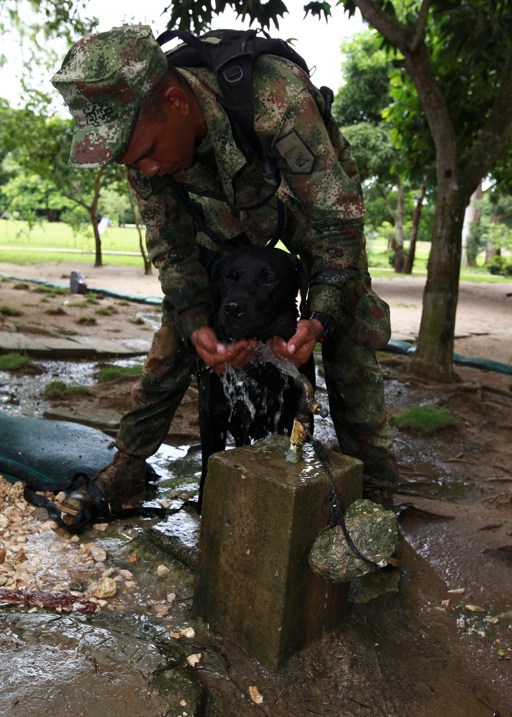 Operation Continuing Promise 2010