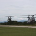 Operation Continuing Promise 2010