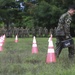 Operation Continuing Promise 2010