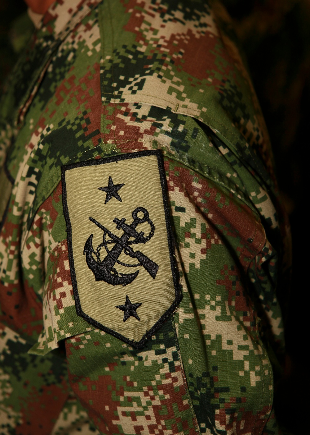 Operation Continuing Promise 2010
