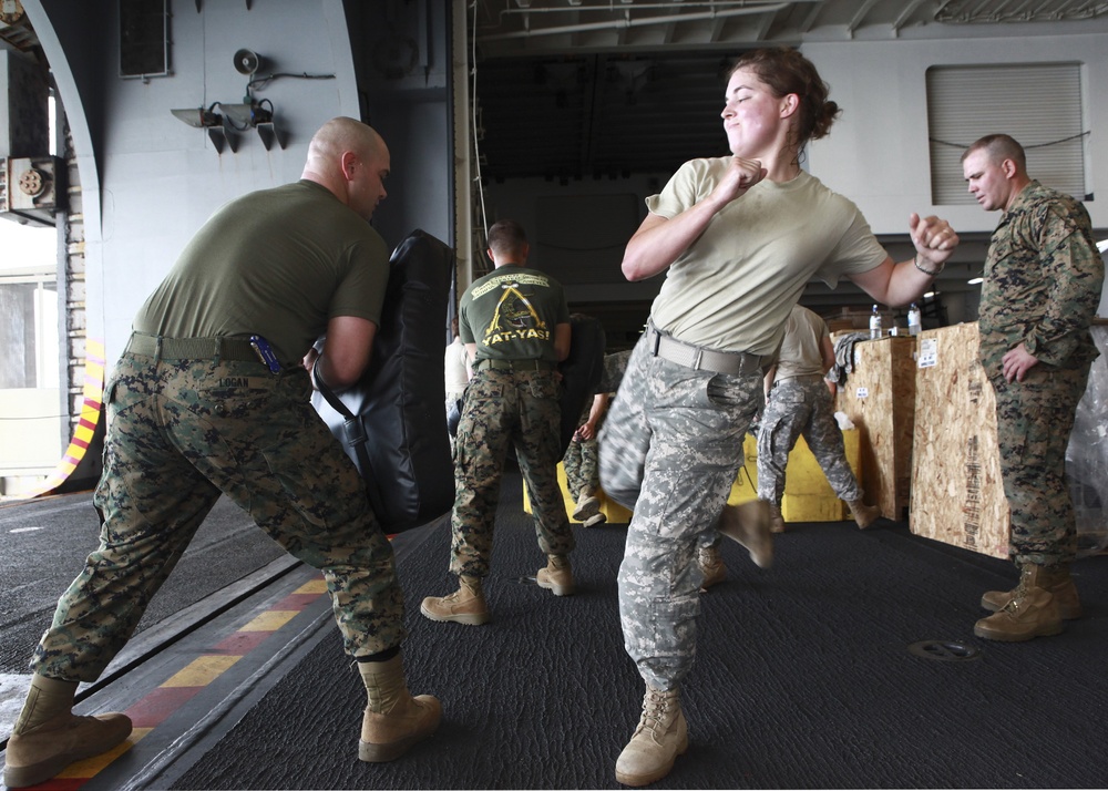 Operation Continuing Promise 2010