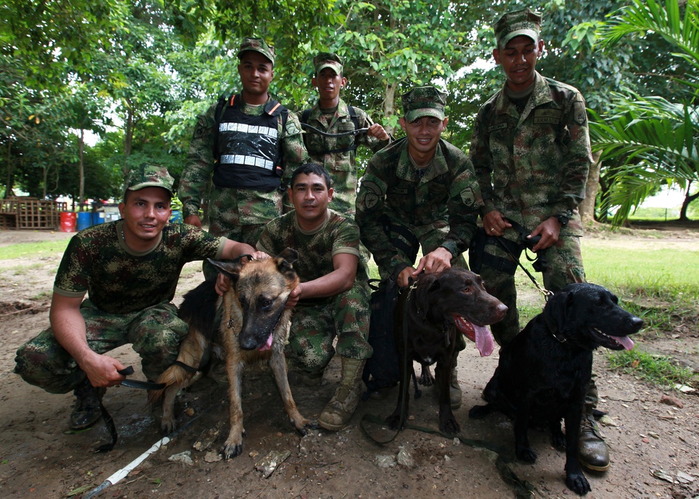 Operation Continuing Promise 2010