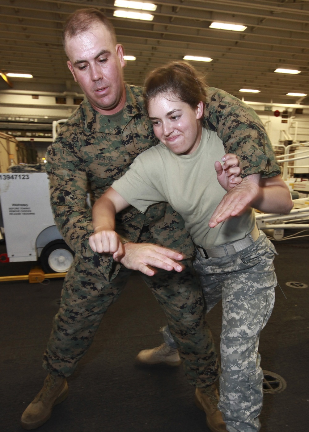 Operation Continuing Promise 2010