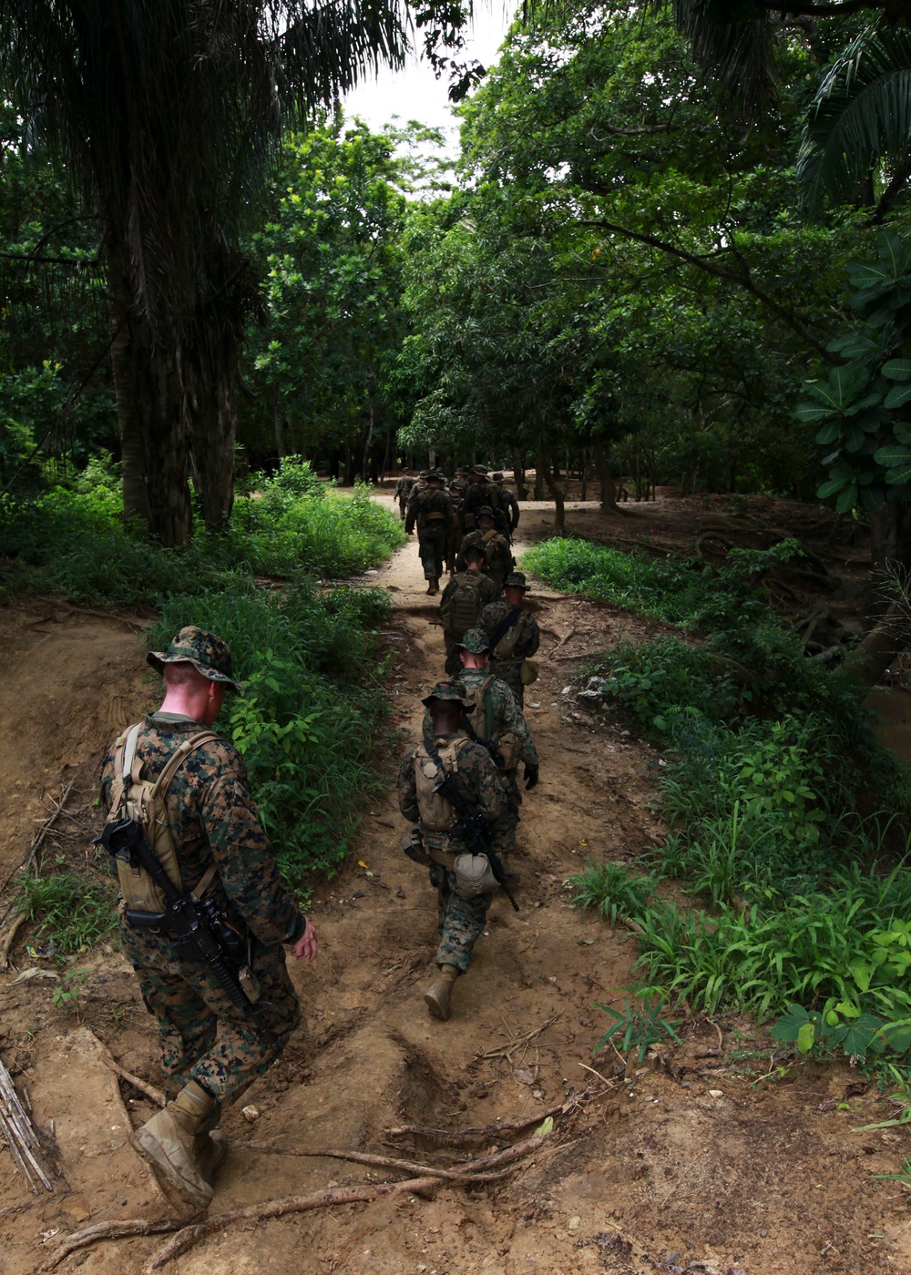 Operation Continuing Promise 2010