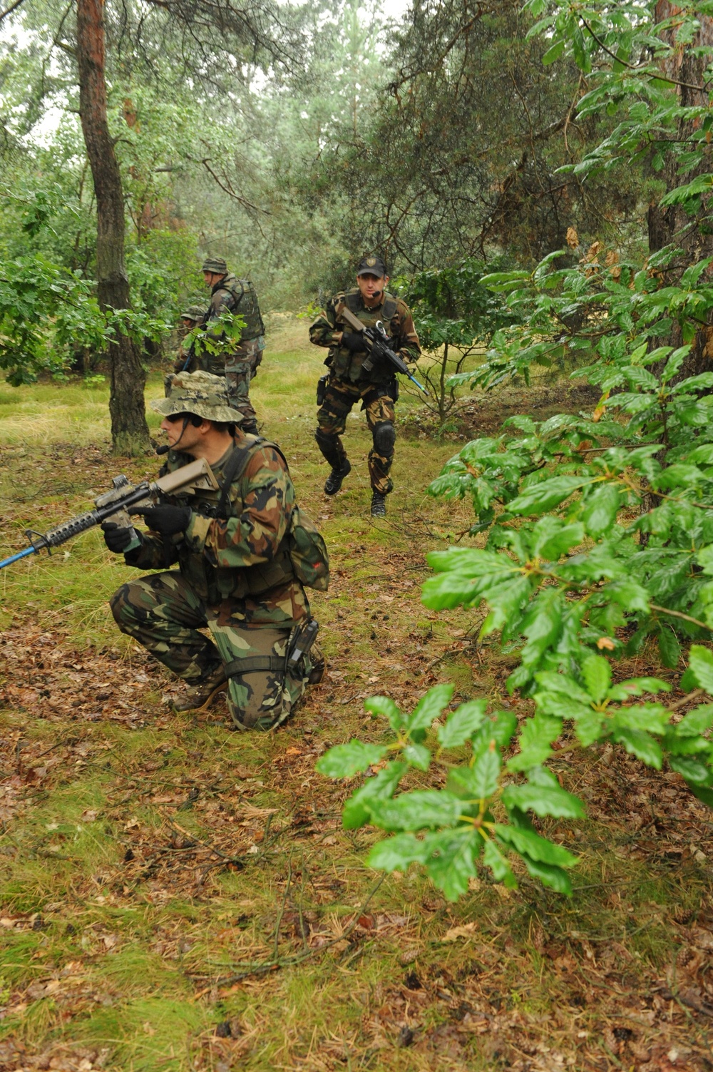Joint Combined Exercise Training Poland