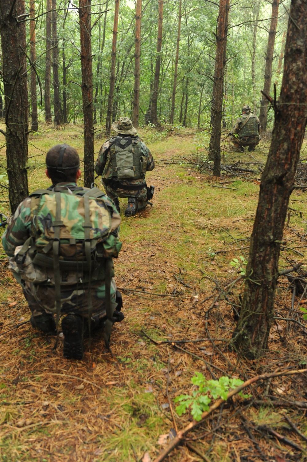 Joint Combined Exercise Training Poland