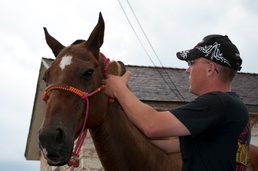 Four-legged 'artilleryman' honored