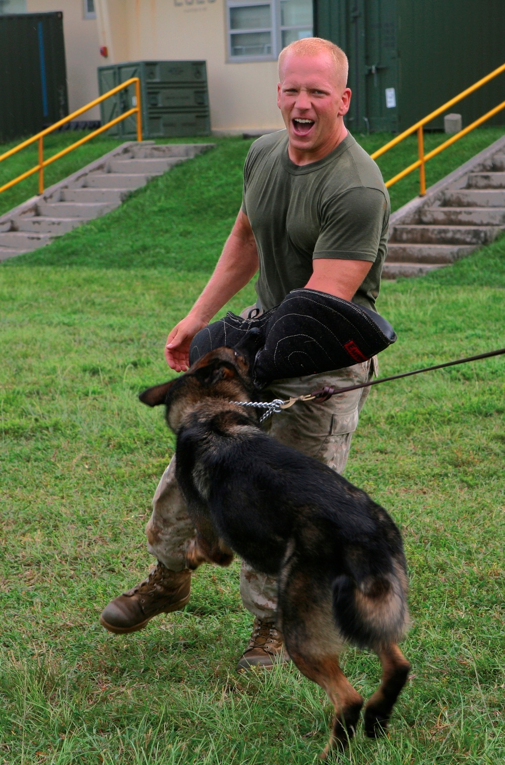 Working Dog Teams Readying for Combat