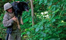 Working Dog Teams Readying for Combat