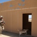 Dog Handlers Prepare for Afghanistan
