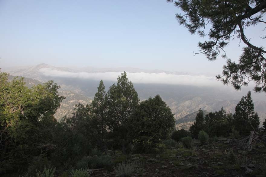 Operation Enduring Freedom