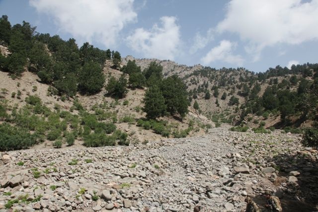 Operation Enduring Freedom