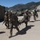Military personnel in camouflage uniforms are conducting what appears to be a casualty evacuation drill or training exercise at a mountain base camp. Several soldiers are carrying a fellow service member on a litter/stretcher across a gravel area. The setting includes military tents, temporary structures, and snow-capped mountains in the background.