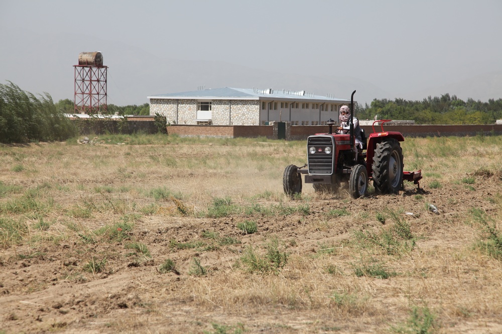 Locals receive beehives