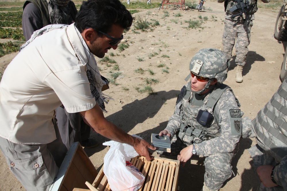 Locals receive beehives