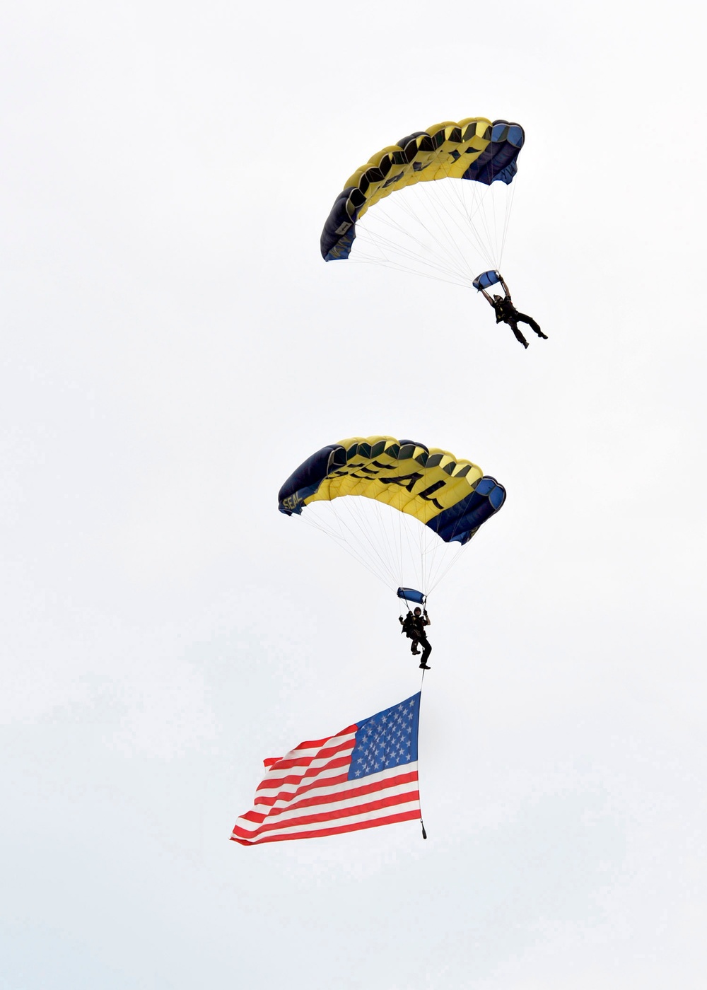 The U.S. Navy Leapfrogs Parachute Demonstration Team Perform to Start Off the Annual SEAL Capability Exercise on Joint Expiditionary Base Little Creek; Va.; Saturday; July 17; 2010.