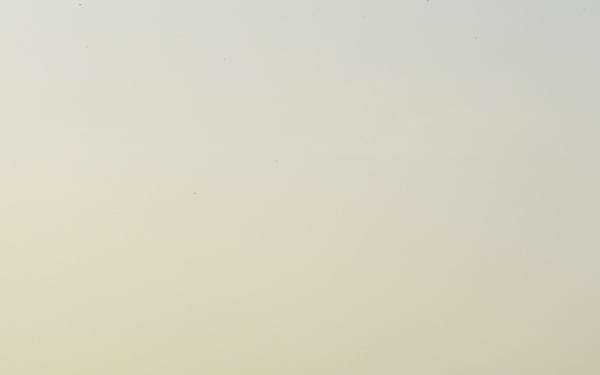 MC-12 Liberty Mission