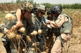 Operation Iraqi Freedom