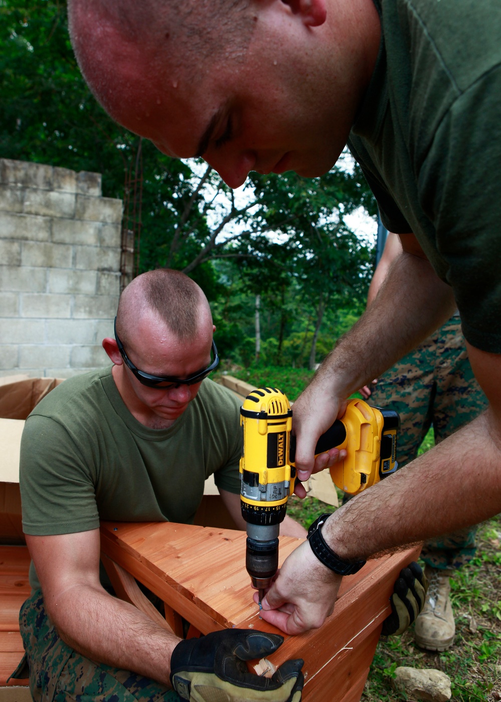 Operation Continuing Promise 2010