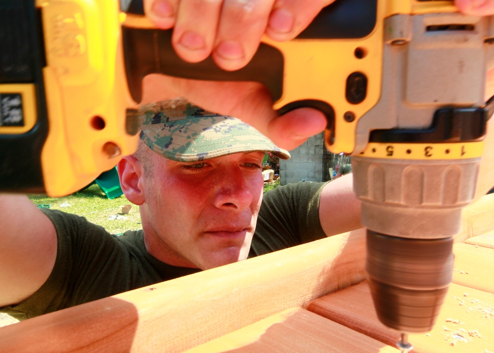 Operation Continuing Promise 2010